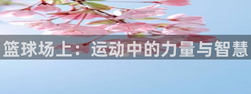 JJB竞技宝官方正版app代理:篮球场上:运动中的力量与智慧
