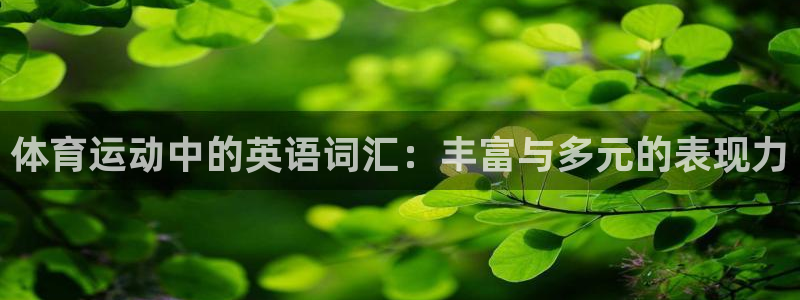 JJB竞技宝官方正版app娱乐40996:体育运动中的英语词