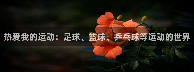JJB竞技宝官网下载平台APP:热爱我的运动:足球、篮球、乒